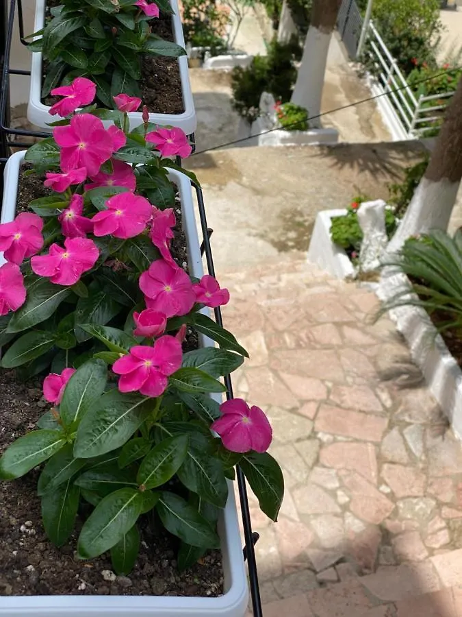 סרנדה Apartamente Berti'S Garden